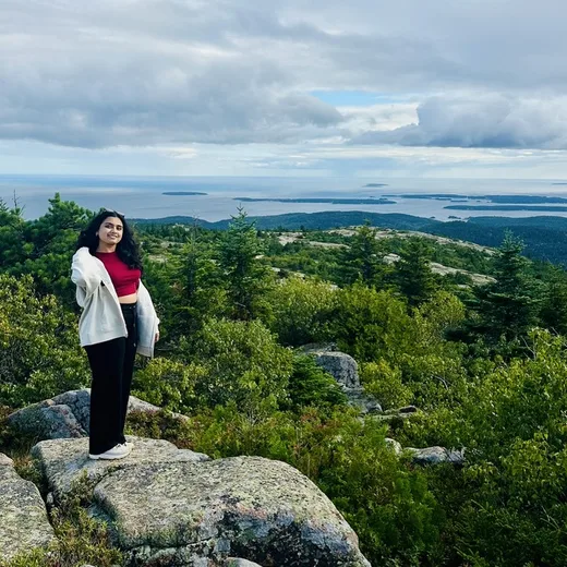 Rajmi standing on a rocky summit above green forest and the sea